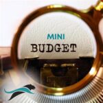 Mini Budget